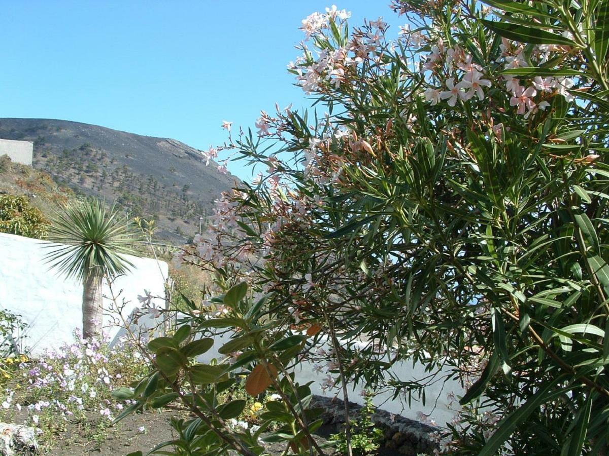 Casa Los Vinedos B Fuencaliente de la Palma Bagian luar foto